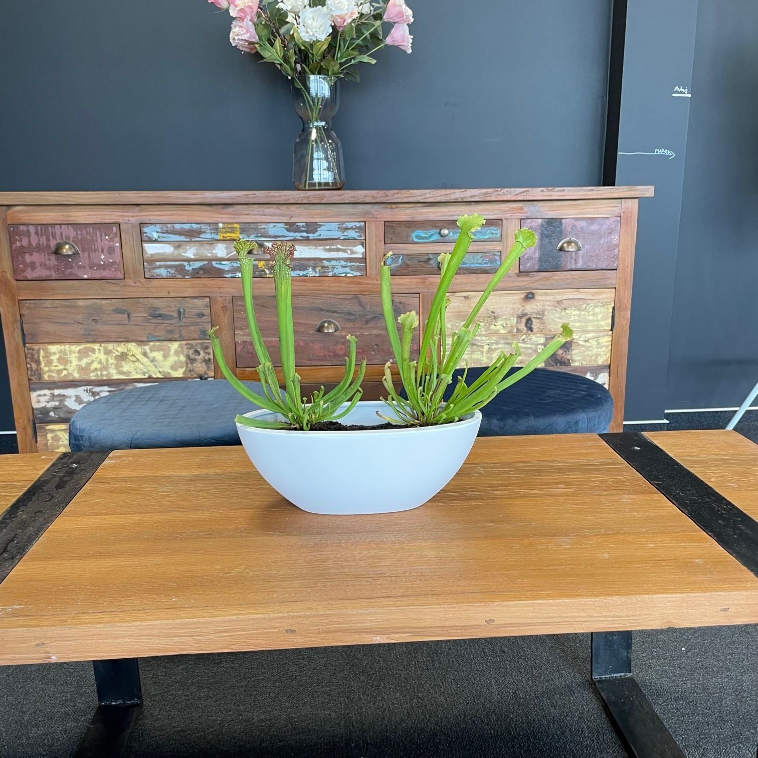 Mesa de Café 120 cm