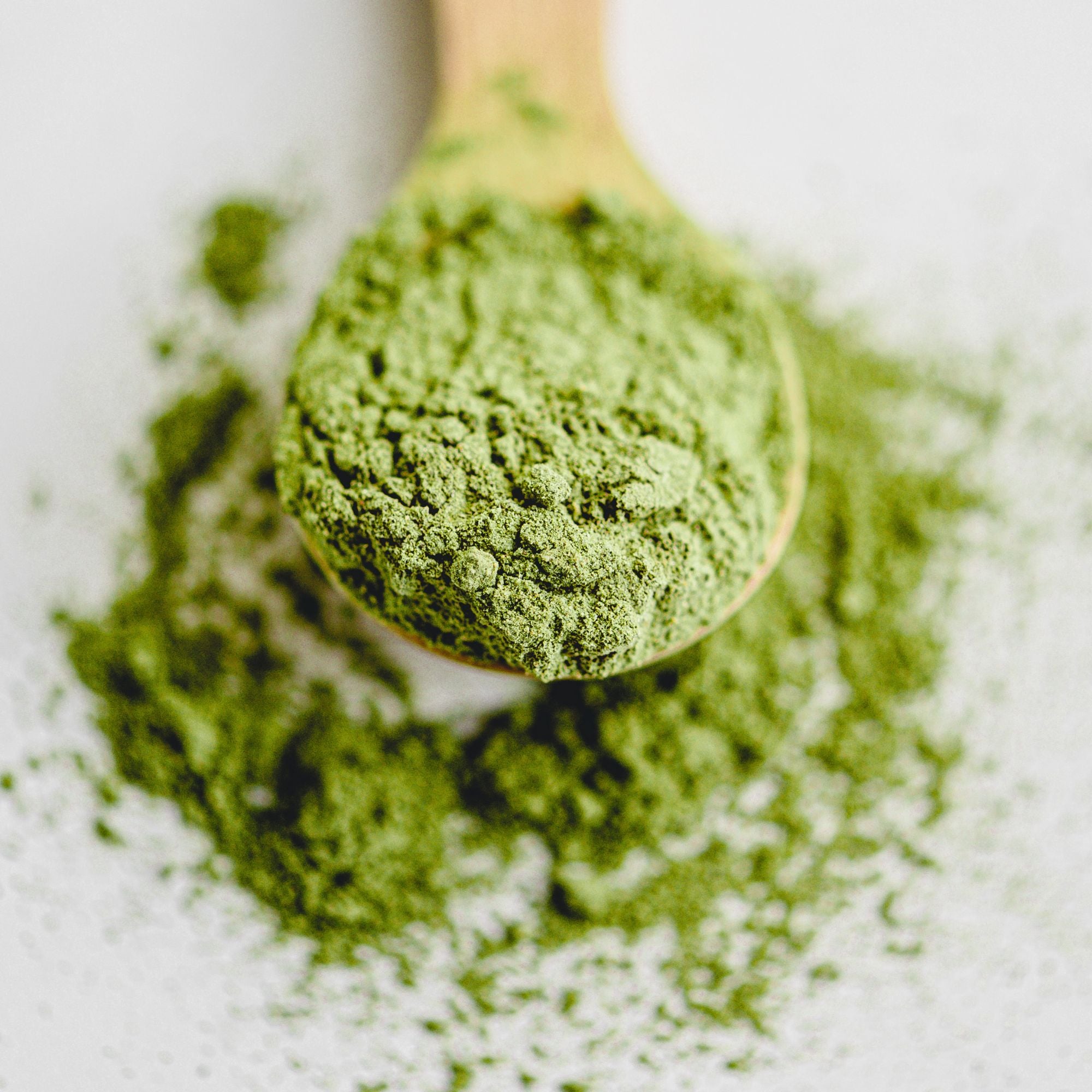 Té Matcha Culinario 0.5 Kg