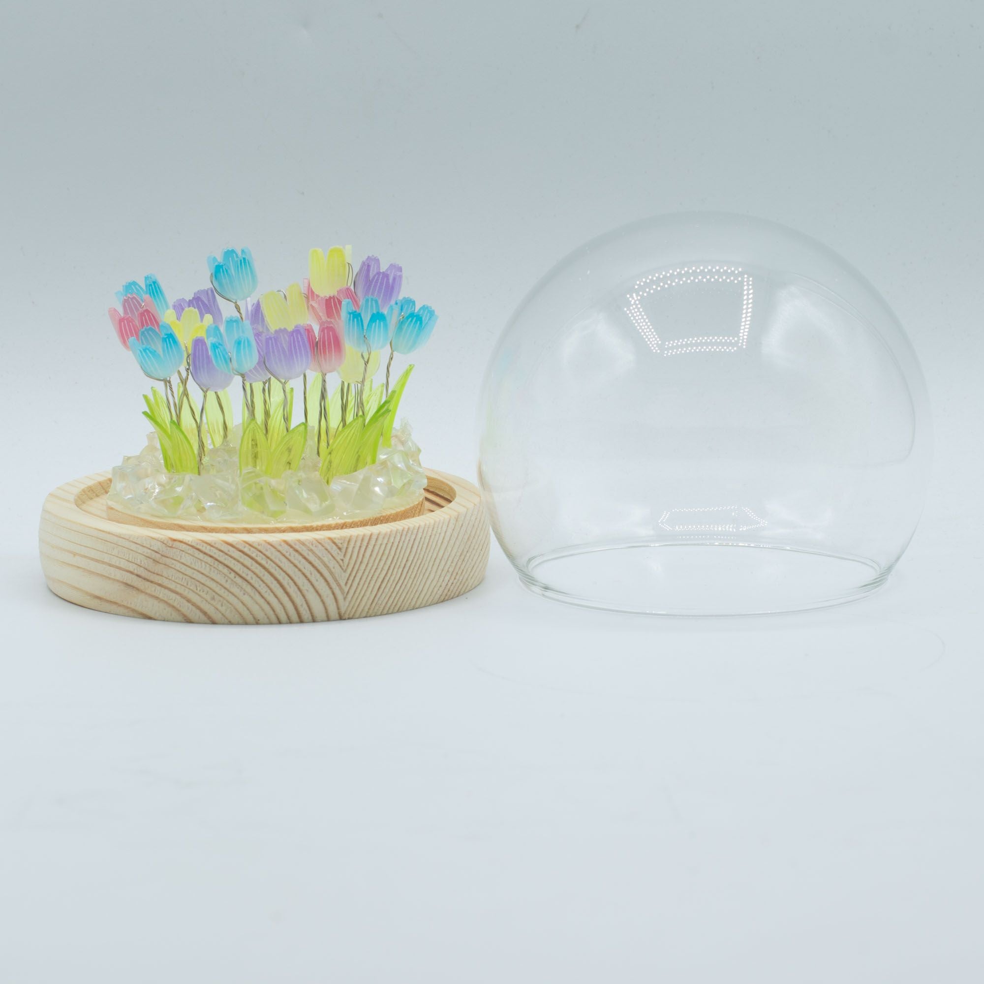 Domo de jardín Floral Glow - 20 tulipanes multicolor - LED USB