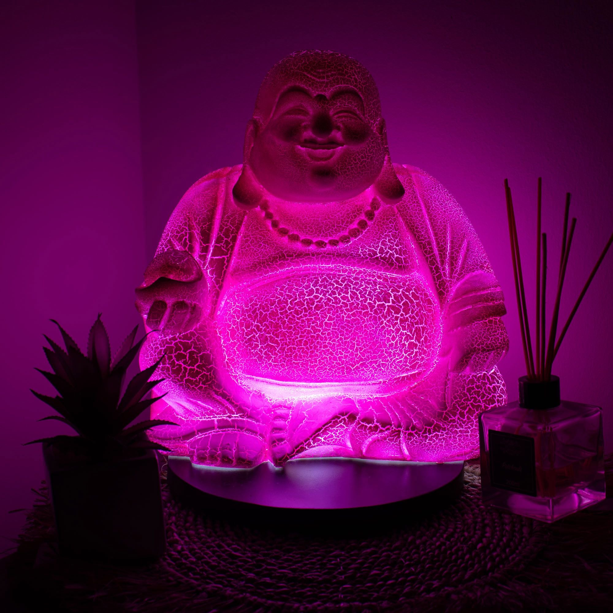 Lámpara del Buda sonriente Fruta del dragón - Base redonda