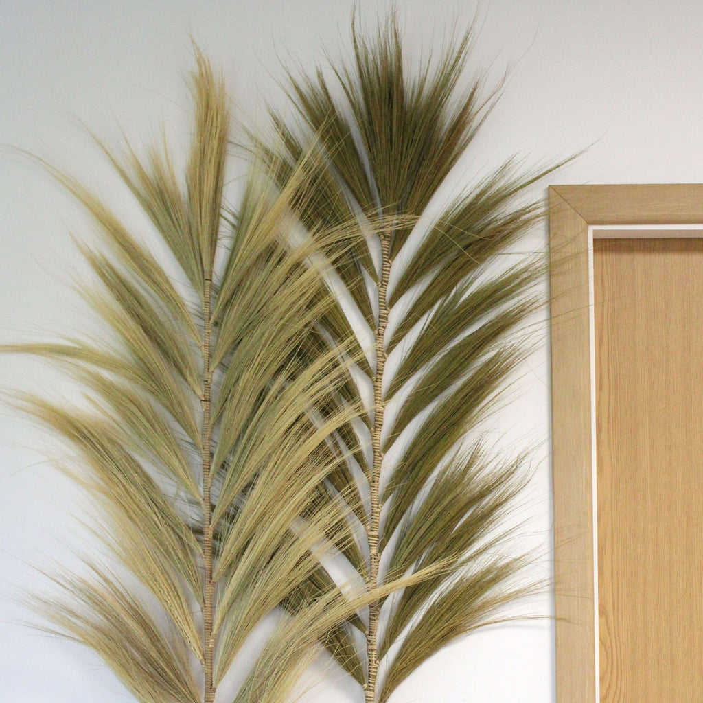 Palmera Natural de Rayung - 2m