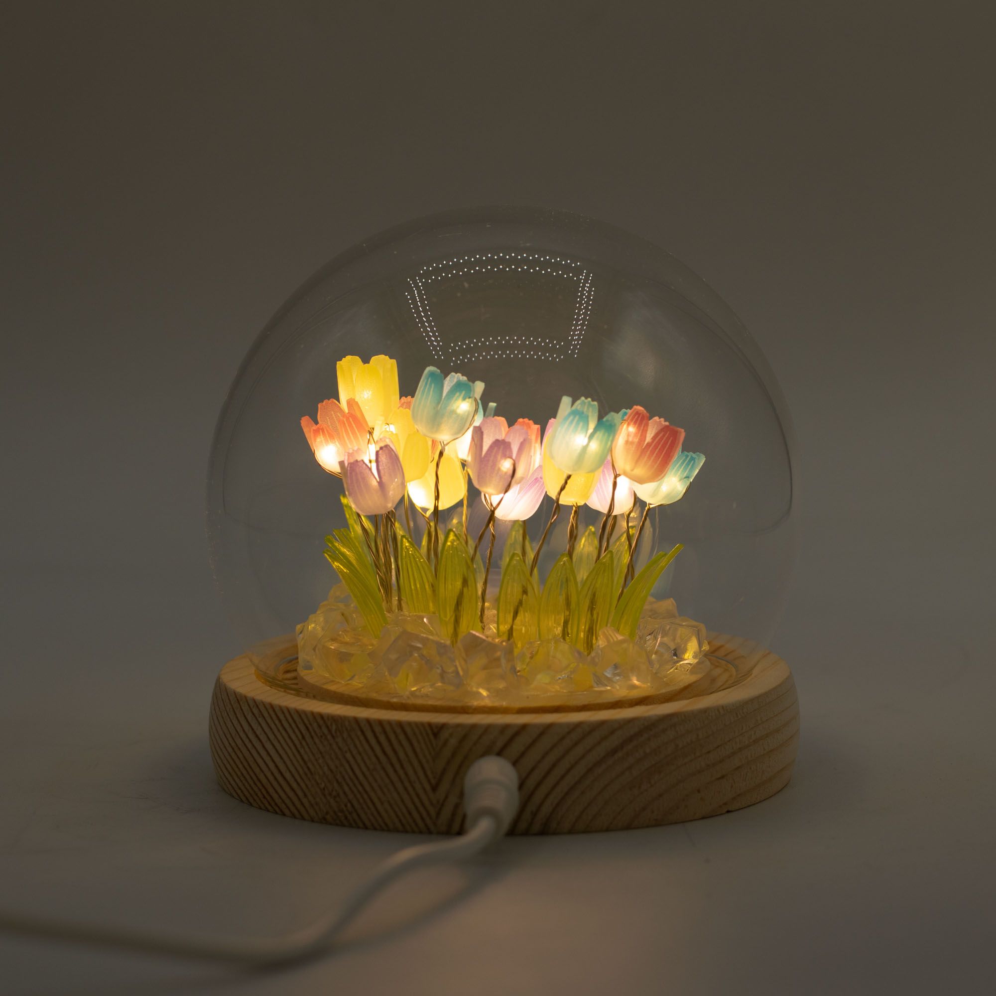 Domo de jardín Floral Glow - 20 tulipanes multicolor - LED USB