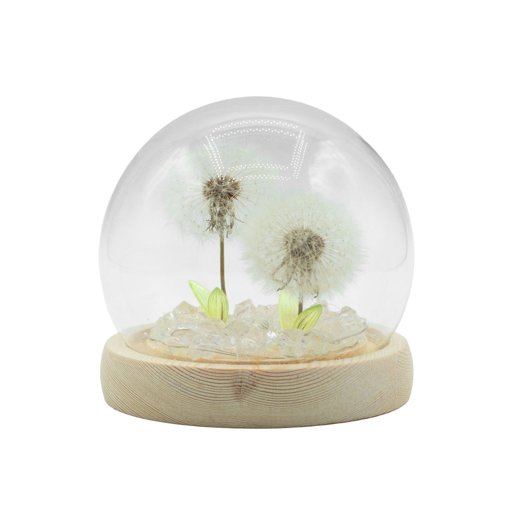 Domo de jardín Floral Glow - 2 dientes de león - LED USB