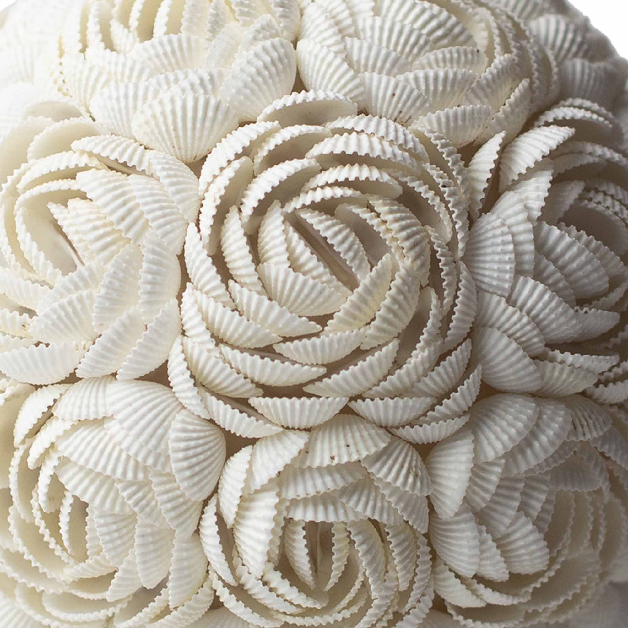 Lámpara Boho Sea Shell - Rosa Ovalada - 15cm