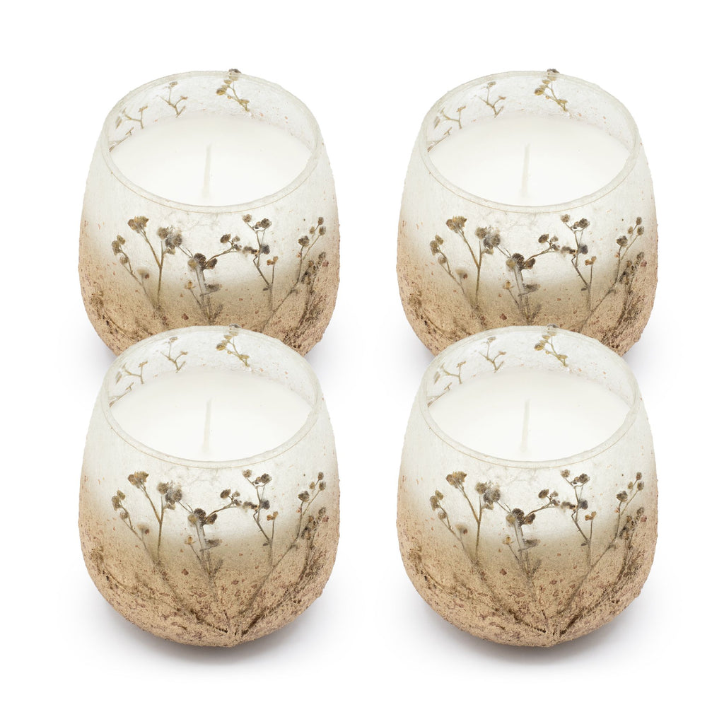 Velas en tarro de vidrio mediano - Wildlight Woods