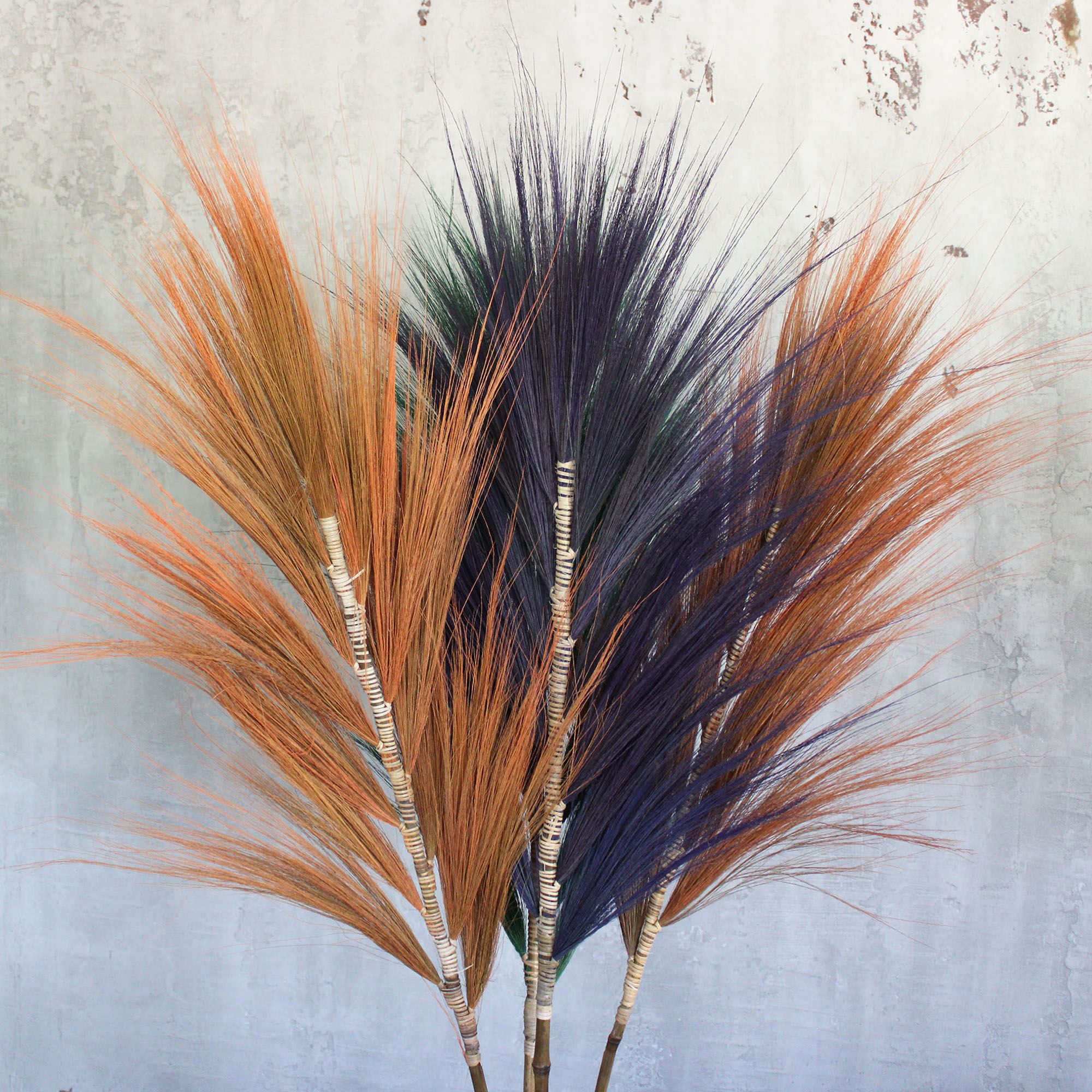 Palmera Lavanda de Rayung - 1.6m
