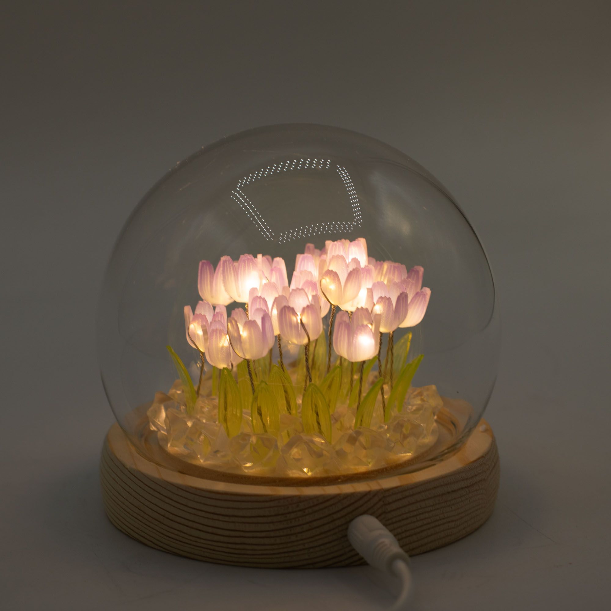 Domo de jardín Brillo Floral - 20 tulipanes - LED USB