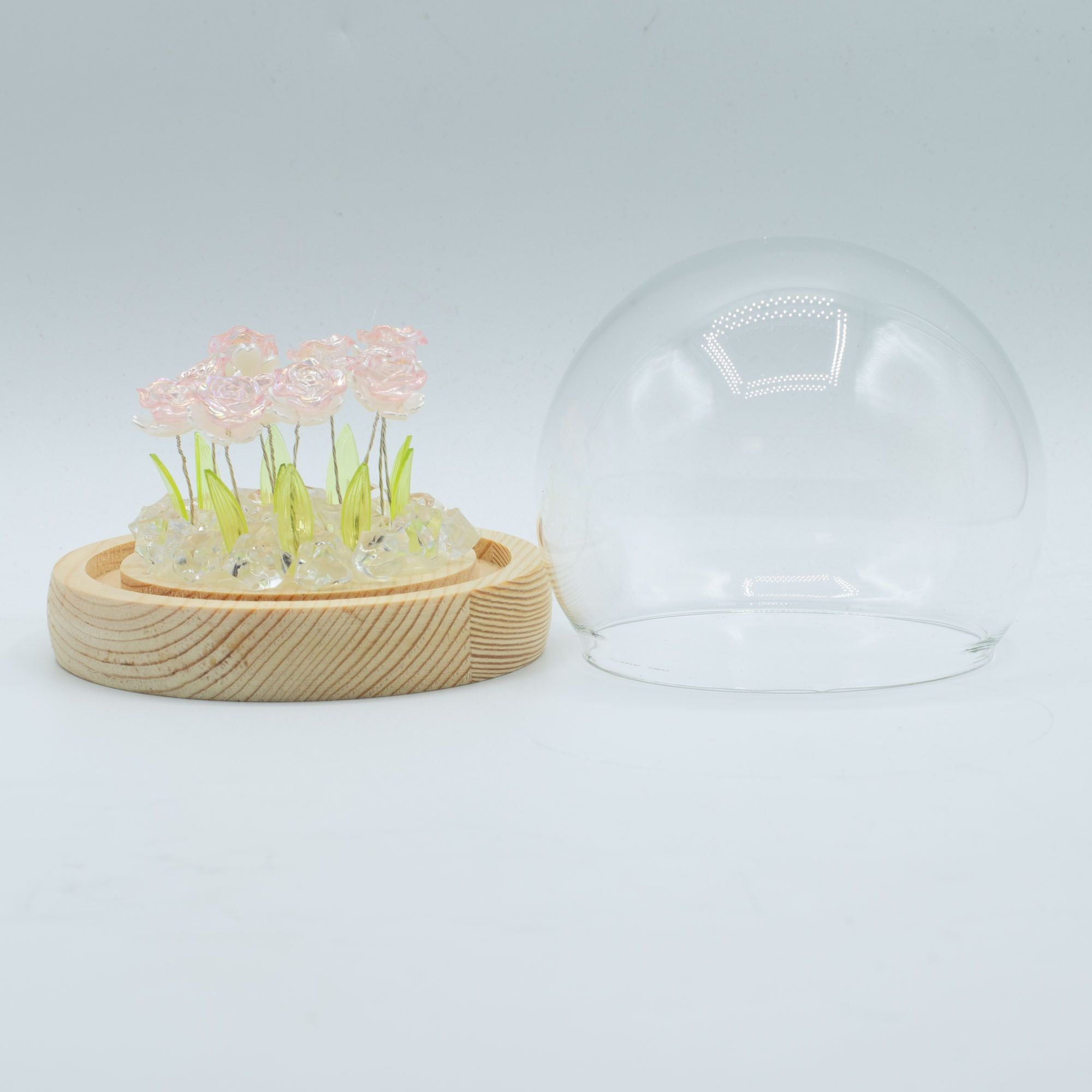 Domo de jardín Floral Glow - 10 rosas rosadas - LED USB