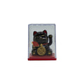 Mini Gato de la Suerte Solar en Caja - Negro