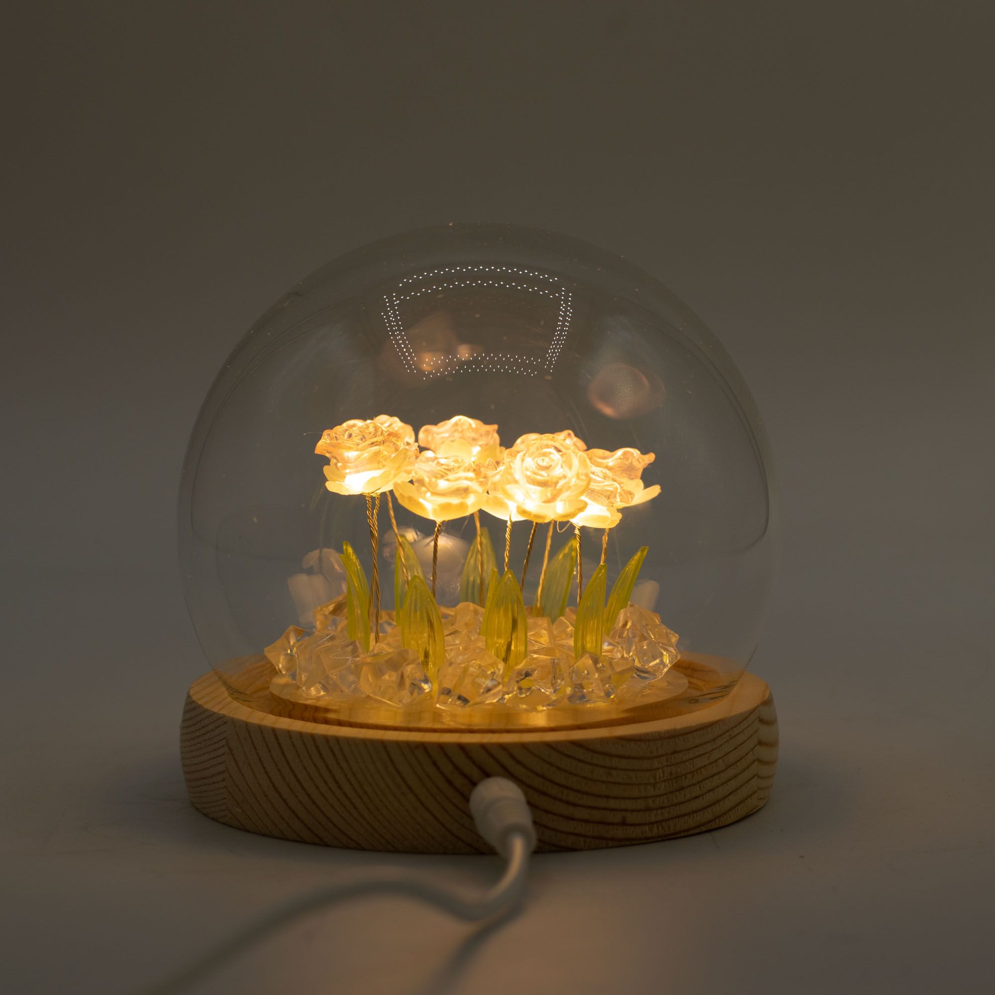 Domo de jardín Floral Glow - 10 rosas rosadas - LED USB