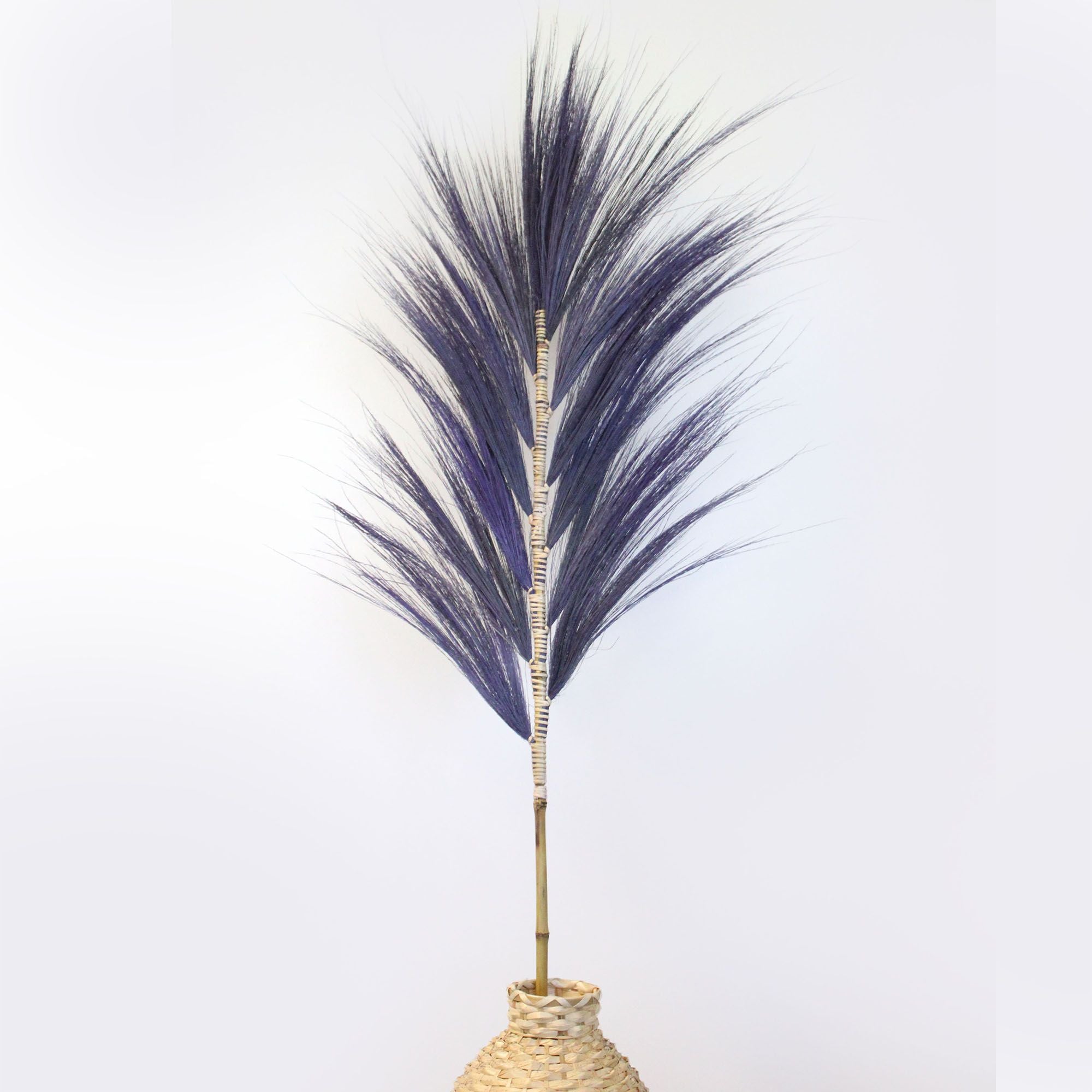 Palmera Lavanda de Rayung - 1.6m
