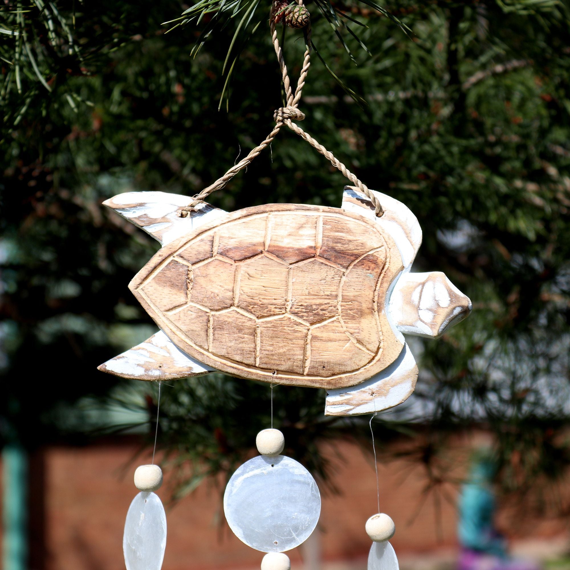 Talla de Tortuga en Blanco Lavado y Gota Natural