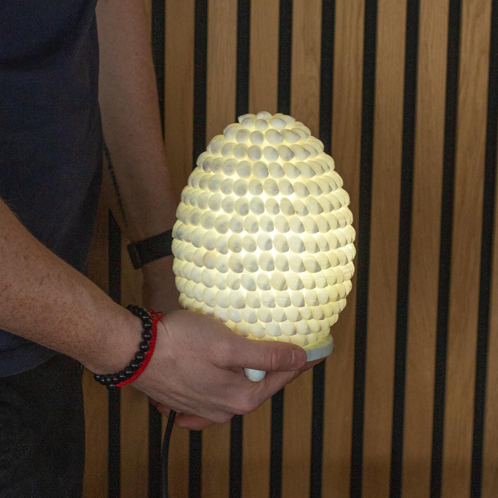 Lámpara Boho de Conchas Marinas - Concha Buting Ovalada