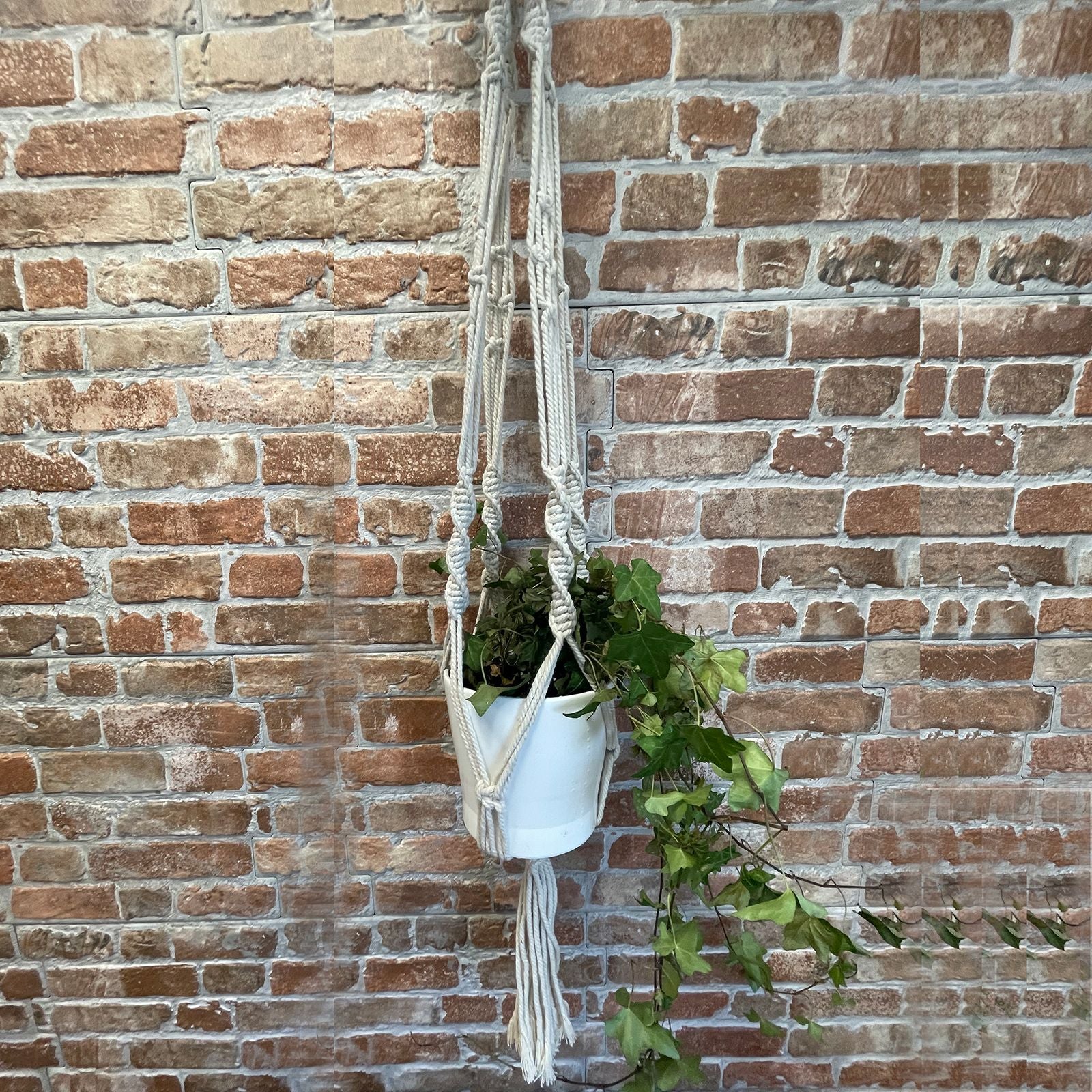 Macetero de Macrame - Gran - Extra largo