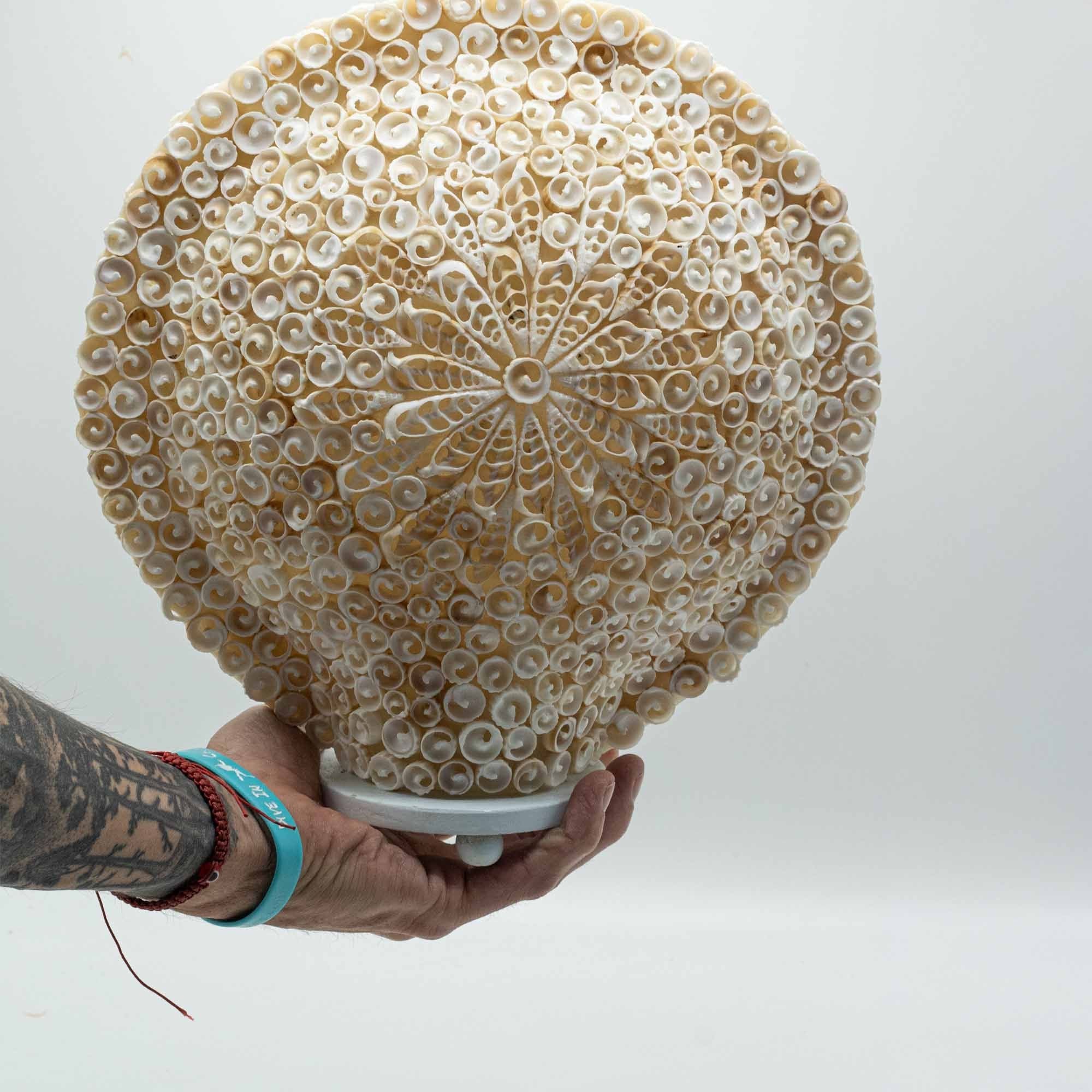 Lámpara Boho de Conchas Marinas - Concha Redonda Grande  - 30 cm