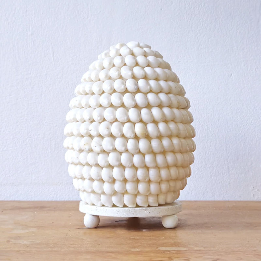 Lámpara Boho de Conchas Marinas - Concha Buting Ovalada