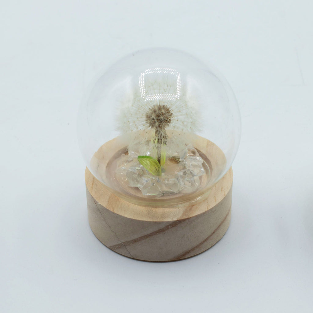 Domo de jardín Floral Glow - 1 Diente de león - Batería LED