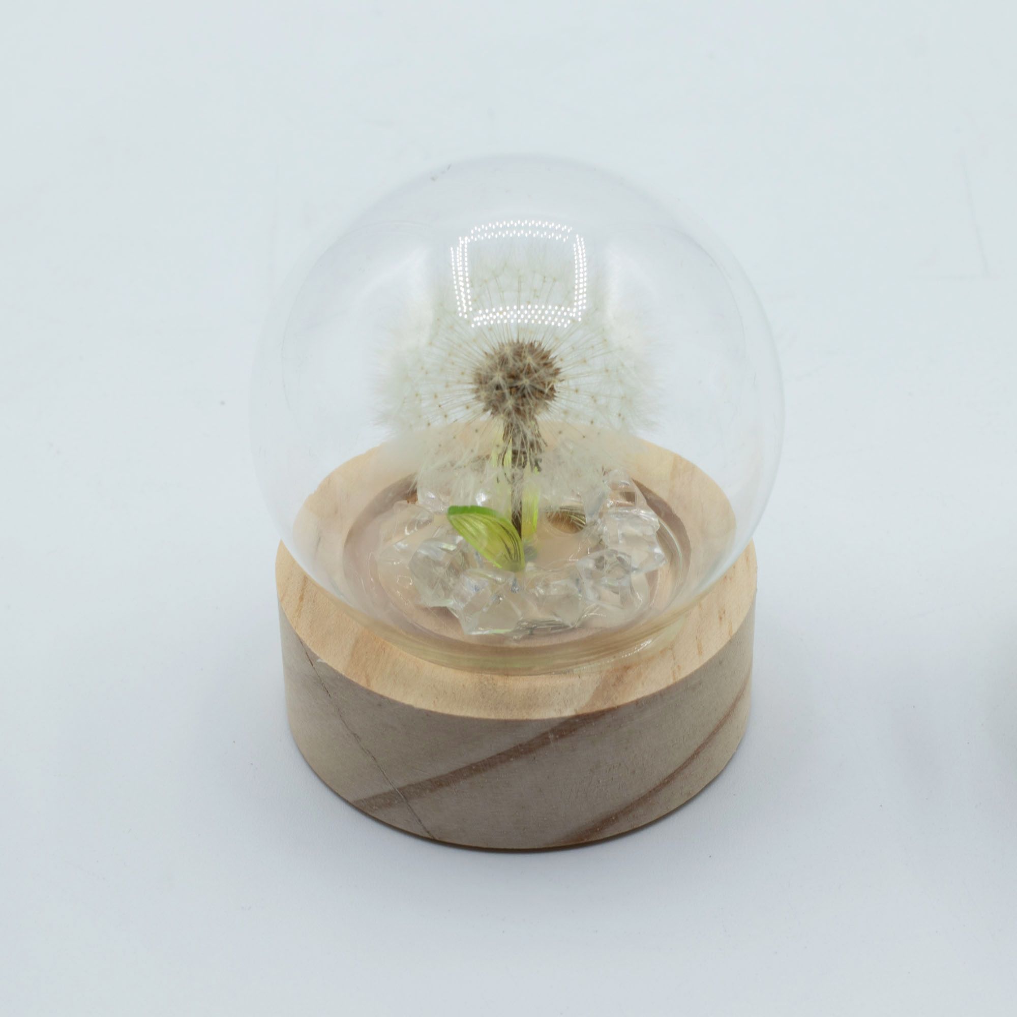 Domo de jardín Floral Glow - 1 Diente de león - Batería LED