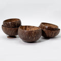 Pequeño tazón de coco natural con soporte