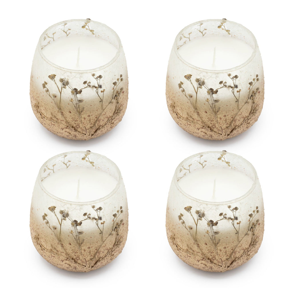 Velas en frascos de vidrio pequeños - Wildlight Woods