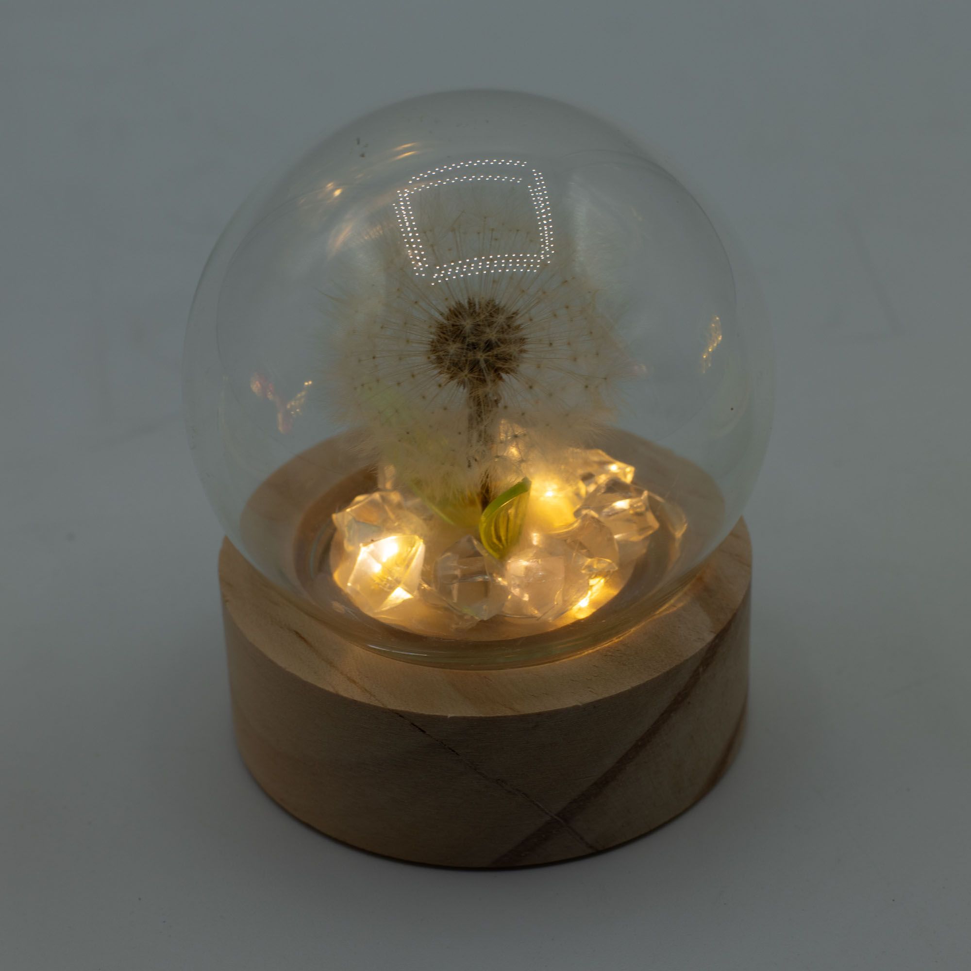 Domo de jardín Floral Glow - 1 Diente de león - Batería LED