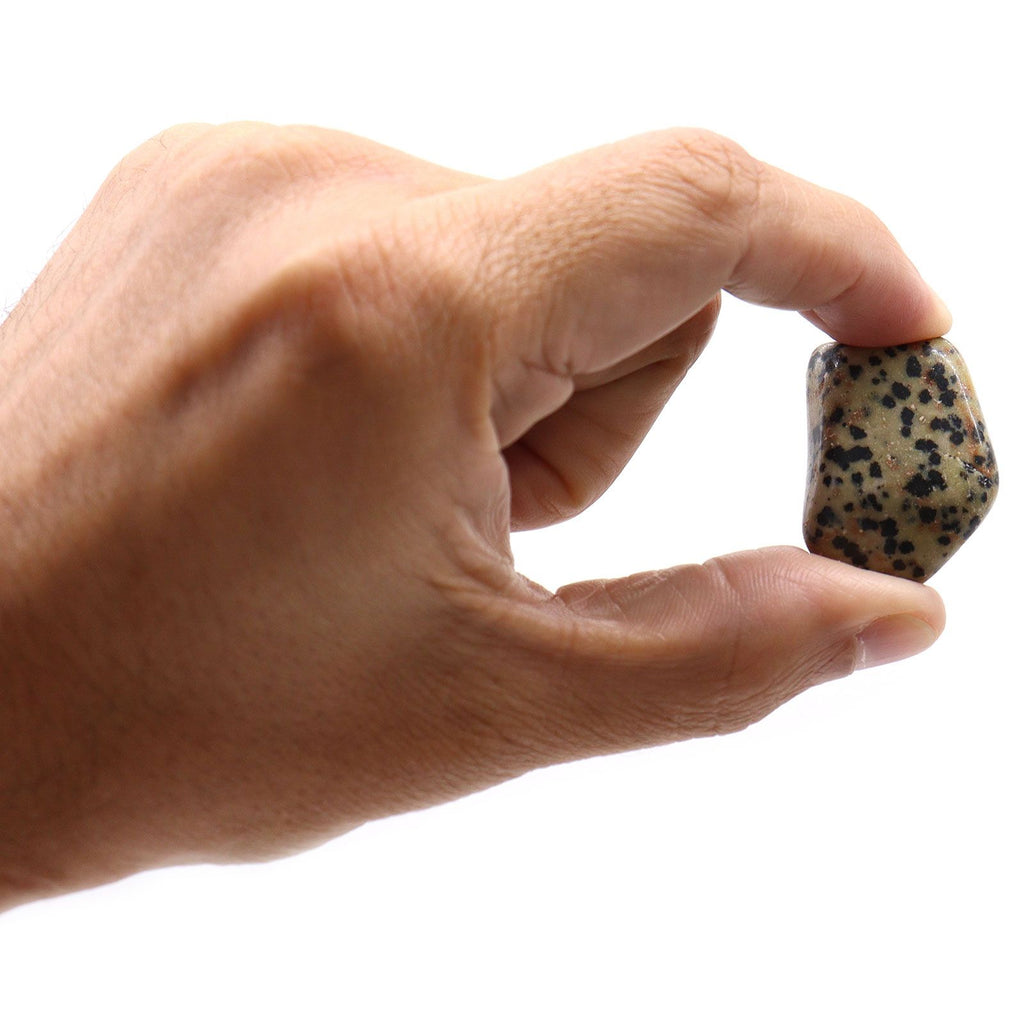 L Tumble Stones - Dalmata