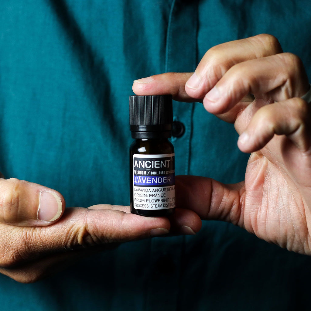 Conjunto de aceites esenciales de lavanda, árbol de té y romero de 10 ml cada uno.